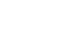M.S. Skincare logo