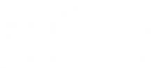 The Art of Living logo