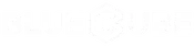 BlueCube logo