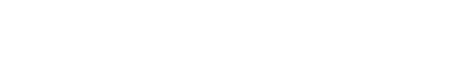 Savvy Touch logo