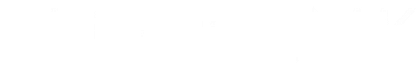 THE LNK logo