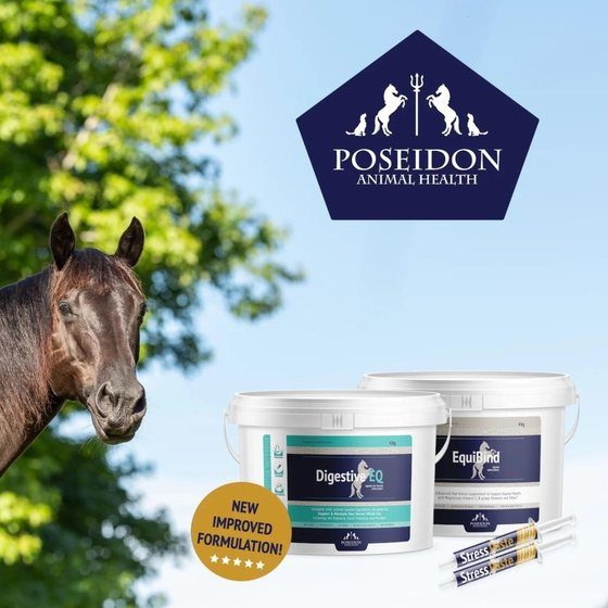 Poseidon Animal Health equine supplement ad